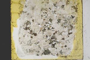 Plane Polarized, S41379