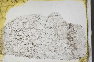 Plane Polarized, S41382