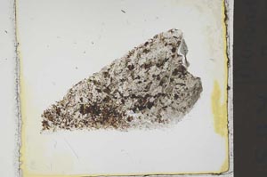 Plane Polarized, S41383