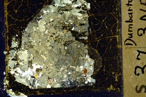 Cross Polarized, S41392