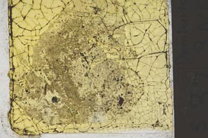 Plane Polarized, S41392