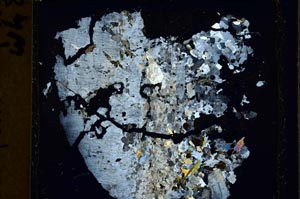 Cross Polarized, S41393