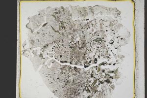 Plane Polarized, S41393