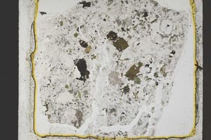 Plane Polarized, S41394