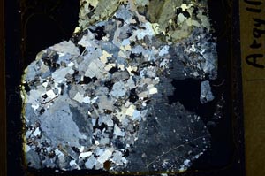 Cross Polarized, S41395