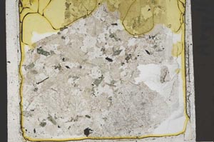 Plane Polarized, S41395