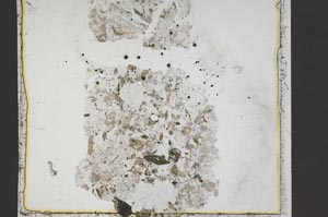 Plane Polarized, S41396