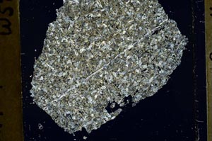 Cross Polarized, S41397