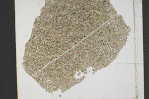 Plane Polarized, S41397