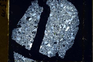 Cross Polarized, S41398