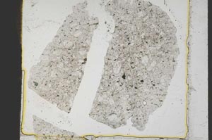 Plane Polarized, S41398