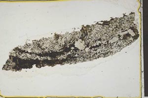 Plane Polarized, S41408
