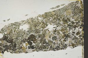 Plane Polarized, S41412