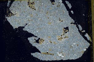 Cross Polarized, S41413