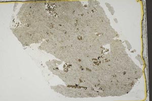 Plane Polarized, S41413