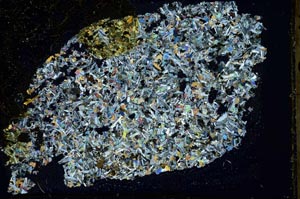 Cross Polarized, S41415