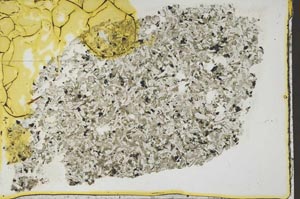 Plane Polarized, S41415