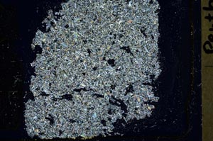 Cross Polarized, S41416