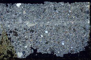 Cross Polarized, S41420