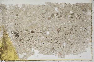 Plane Polarized, S41420