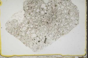 Plane Polarized, S41421