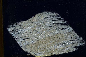 Cross Polarized, S41422