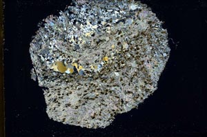 Cross Polarized, S41423