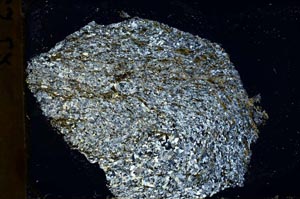 Cross Polarized, S41424