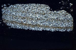 Cross Polarized, S41427