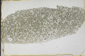 Plane Polarized, S41429