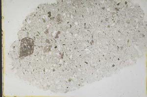 Plane Polarized, S41430