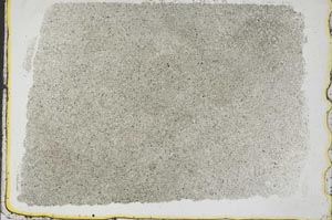 Plane Polarized, S41435
