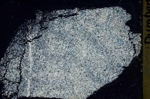 Cross Polarized, S41440