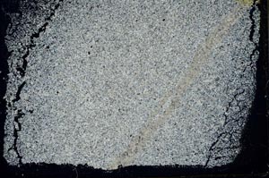 Cross Polarized, S41441