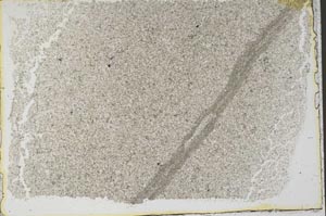 Plane Polarized, S41441