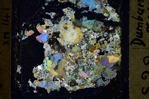 Cross Polarized, S41442