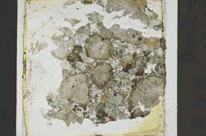 Plane Polarized, S41442