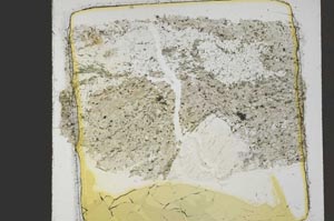 Plane Polarized, S41443