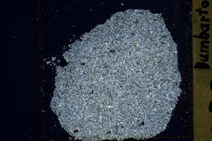 Cross Polarized, S41444