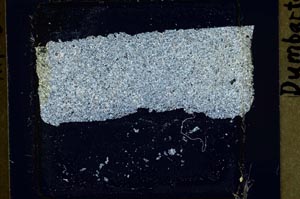 Cross Polarized, S41445