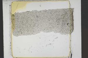 Plane Polarized, S41445