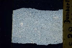 Cross Polarized, S41446