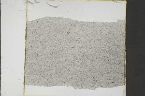 Plane Polarized, S41446