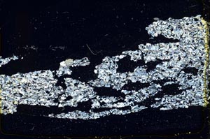 Cross Polarized, S41447