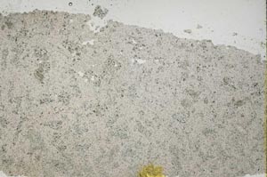 Plane Polarized, S41448