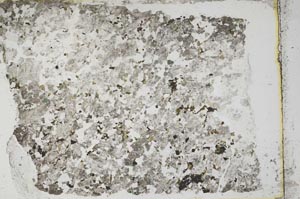 Plane Polarized, S41452