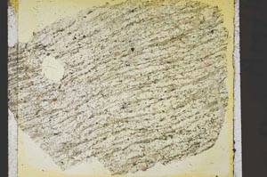 Plane Polarized, S41458