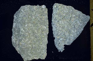 Cross Polarized, S41462