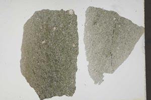 Plane Polarized, S41462