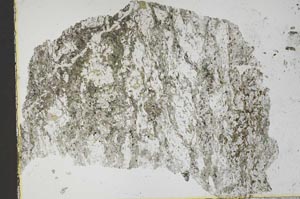 Plane Polarized, S41464